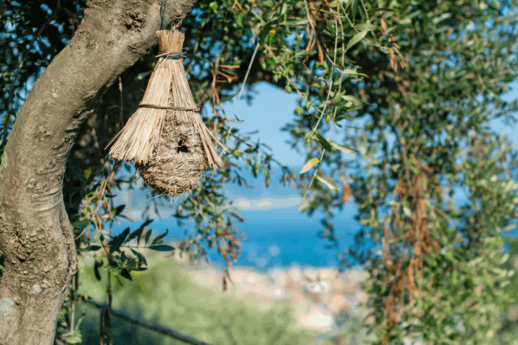 Casa di Pietra birdhouse hanging from a tree. Handmade birdhouse with straw roof. Rustic birdhouse design.