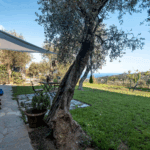 Casa di Pietra garden view. Stone house patio with chairs, table, and olive trees overlooking the landscape.